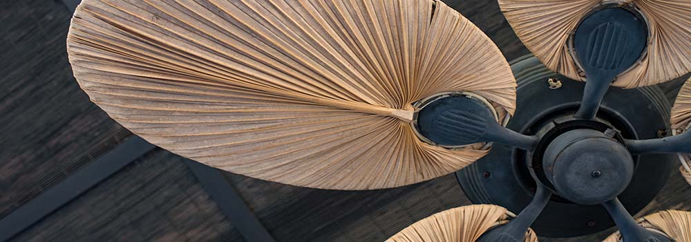 ceiling fan